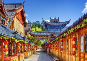 Vận chuyển mèo đi trung quốc