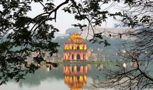 Vận chuyển chuối Laba ra Hà Nội