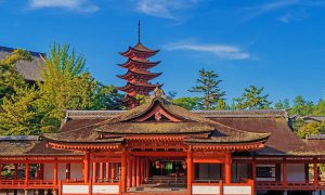 Vận chuyển hàng mẫu từ Việt Nam sang Nhật Bản uy tín!