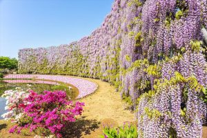 Chuyển phát nhanh hàng hóa đi Tochigi uy tín