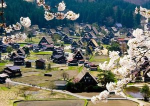 Dịch vụ vận chuyển tài liệu đi Gifu-Nhật Bản