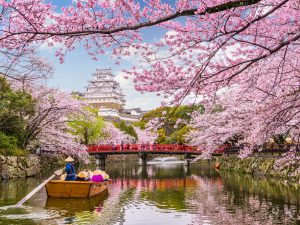Chuyển phát nhanh giá rẻ từ Hyogo (Nhật Bản) về Việt Nam