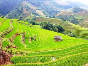 Dịch vụ chuyển phát nhanh tài liệu đi Hà Bắc