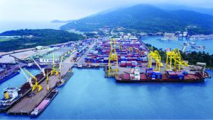 Quy Trình Cấp Vận Đơn Đường Biển