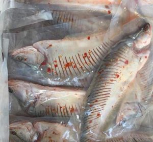 Gửi khô cá thác lác từ Hậu Giang đi Trung Quốc uy tín số 1