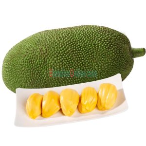 Gửi mít Tố Nữ từ Đồng Nai đi Trung Quốc giá tốt số 1