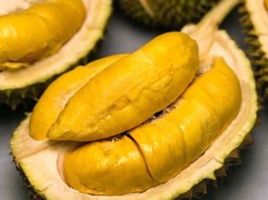 Gửi sầu riêng Ngũ Hiệp từ Tiền Giang đi Trunga Quốc ưu đãi số 1
