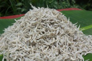 Gửi khô cá cơm mờm sữa từ Bình Thuận đi Trung Quốc giá tốt số 1