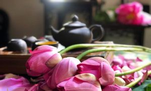 Gửi chè sen Tây Hồ từ Hà Nội đi Trung Quốc uy tín giá rẻ