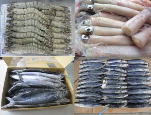 Gửi hải sản đông lạnh chuyên tuyến Đà Nẵng sang Trung quốc