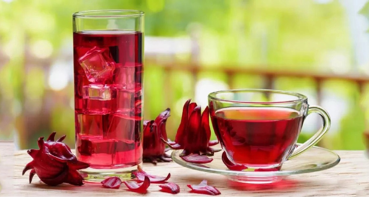 Gửi trà hoa Hibiscus từ Sài Gòn đi Trung Quốc ưu đãi số 1