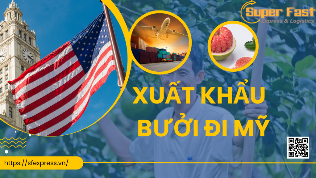 Xuất khẩu bưởi sang Mỹ giá rẻ