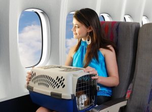 Vận chuyển thú cưng quốc tế