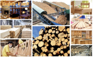 Thúc đẩy phát triển thương mại bền vững ngành gỗ Việt Nam – Trung Quốc: Cơ hội và thách thức