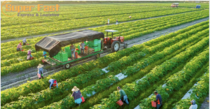 Vì Sao Thời Gian Giao Phát Hàng Tại Khu Vực Nông Thôn Ở Trung Quốc Rất Nhanh