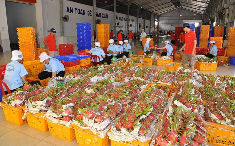 Mở rộng cửa khẩu và thúc đẩy xuất khẩu nông sản Việt Nam sang Trung Quốc