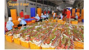 Mở rộng cửa khẩu và thúc đẩy xuất khẩu nông sản Việt Nam sang Trung Quốc